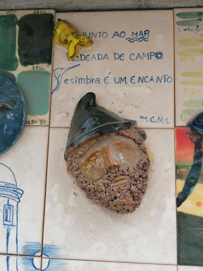 Zimbra Blue Apartment Sesimbra Zewnętrze zdjęcie